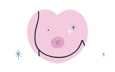 prestation aréoles mammaire 3D